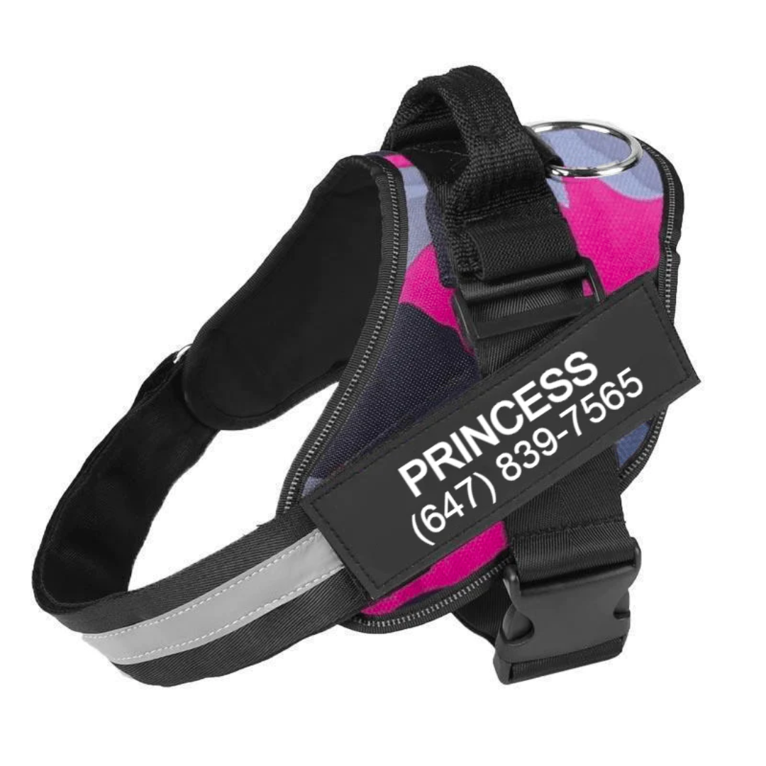 VELUCIA - Personalized No Pull Dog Harness